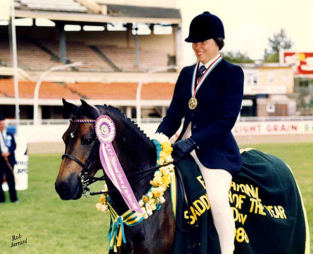National Horse National Horse